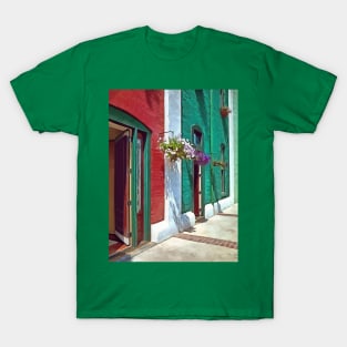 Roanoke VA - Doors and Hanging Baskets T-Shirt